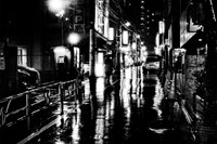 Stray Cats by Daido Moriyama