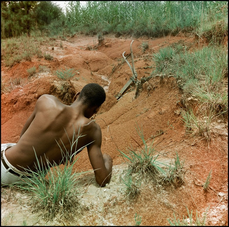 Born Black by Gordon Parks